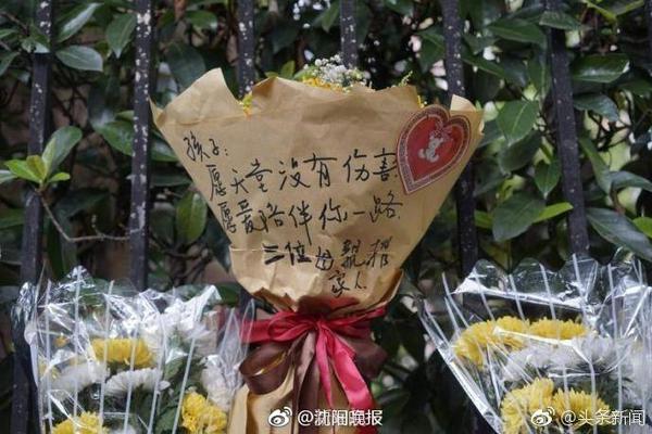 日媒：萨尔茨堡红牛有意斯图加特20岁日本混血后卫安里
